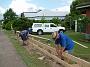 Taree-fence-b 041